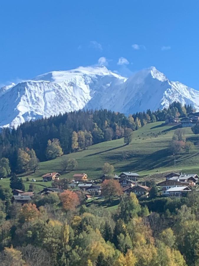 Chalet Mont Blanc Combloux Luaran gambar
